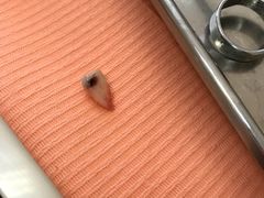 -瑞尔齿科(南京东路名人诊所)