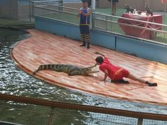 -北戴河圣蓝海洋公园