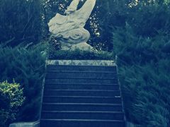 -云岗森林公园