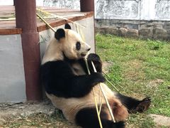 -杭州野生动物世界