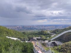 -大青山野生动物园
