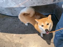 -阿嬷手作(成都万象城店)