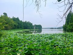 景点-东湖落雁景区