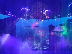 -芜湖新华联大白鲸海洋公园