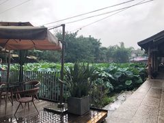 -莫催咖啡