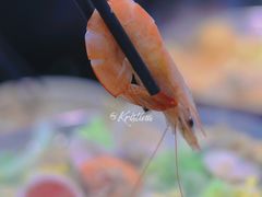 好大一个虾-福妈一品锅(麦地店)