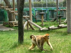 -西安秦岭野生动物园
