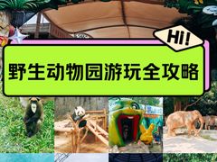 -深圳野生动物园