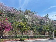 -南宁市凤岭儿童公园