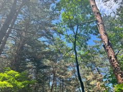 -帽儿山国家森林公园