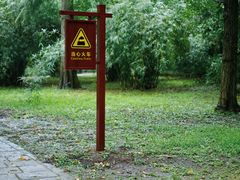 -上海共青森林公园