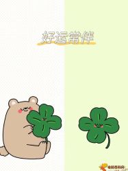 -Oasis Beauty水磨坊科技美肤中心