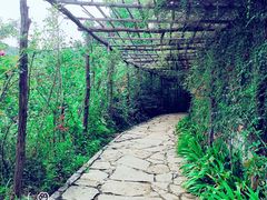 -井塘古村
