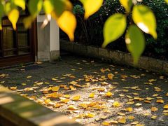 -长白岛森林公园