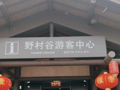 -黄陂区野村谷景区