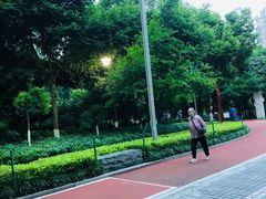 -龙头寺公园
