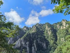 -王顺山国家森林公园