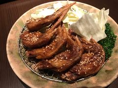 -鸟良(秋葉原店)