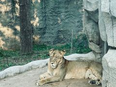 -北京野生动物园