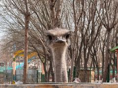 -水上乐园·欢乐世界