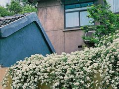 -颐和路民国时期公馆风貌区