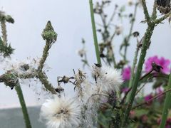 -艾蜜西餐厅(梅园店)