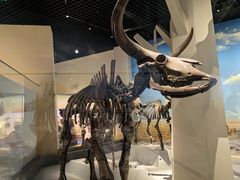 -国家自然博物馆