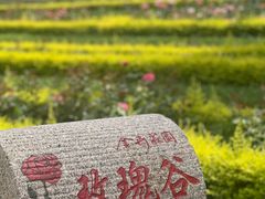 -金卉庄园