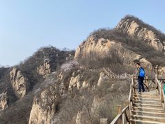 -大岭沟猕猴桃谷风景区