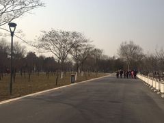 -石家庄市植物园