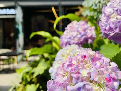 -PlantsEatery·植物食堂(REX春熙店)
