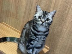 -藦茜花园宠物主题亲子互动体验馆(国顺东路店)