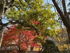 -青岛崂山太清宫