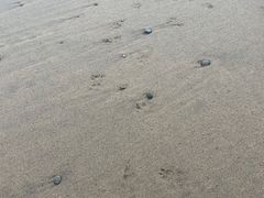 -南长涂沙滩