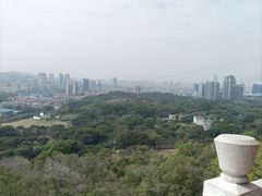 -紫马岭公园
