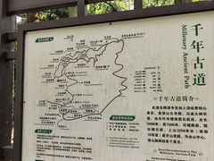 -天目山大树王景区