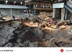 -自贡恐龙博物馆