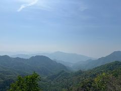 -大岭沟猕猴桃谷风景区