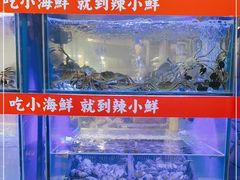 水产区-辣小鲜·南昌大排档(船山路店)