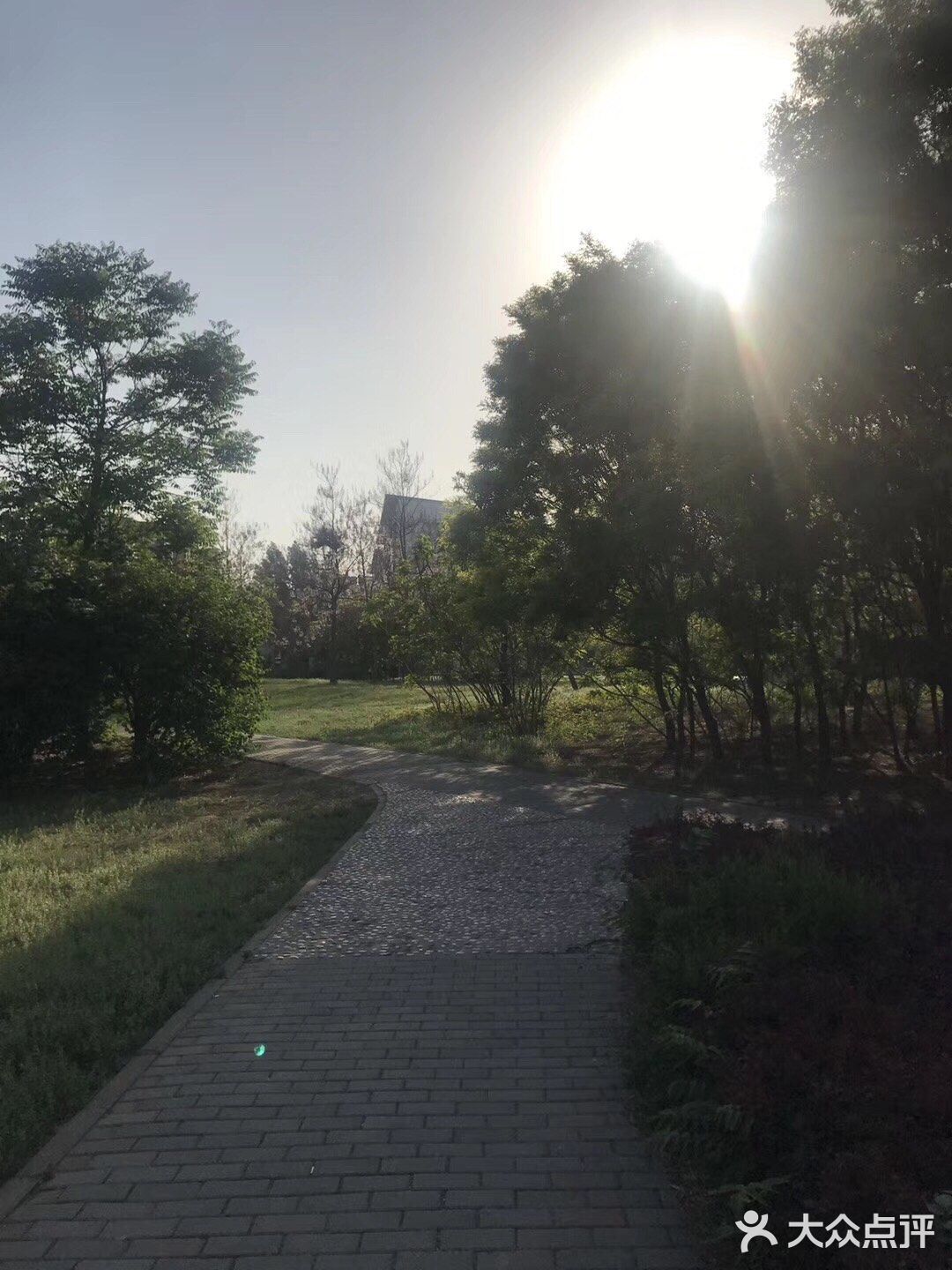 待到山花烂漫时，她在丛中笑。