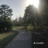 待到山花烂漫时，她在丛中笑。