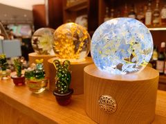 -二酉书店TOYOU BOOKS