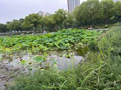 -南京奥林匹克体育中心-体育馆