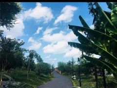 -嬉乐湾休闲旅游区