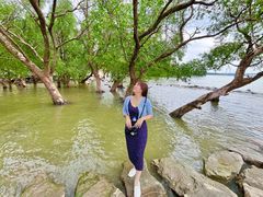 -宝安西湾红树林湿地公园