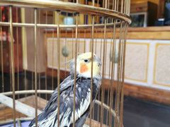 -那家小馆•北京菜•烤鸭(香山店)