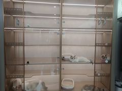 -翊宠yipet猫狗购宠庄园犬舍•猫舍