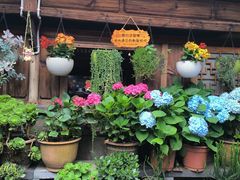 -龙姐私房菜(和顺古镇店)