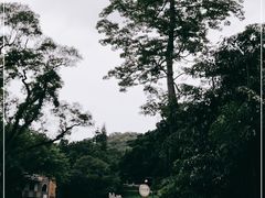 -广州市白云山风景名胜区