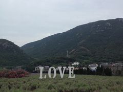-桃花岛风景旅游区